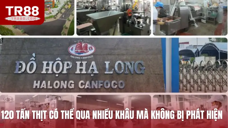 120 tấn thịt có thể qua nhiều khâu mà không bị phát hiện