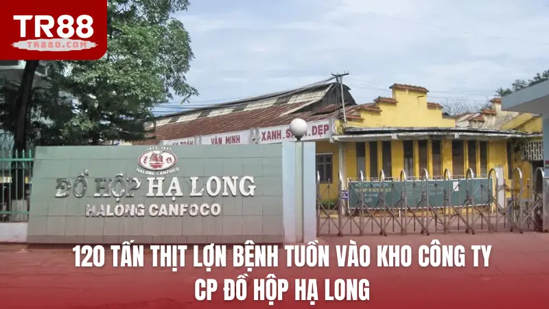 120 tấn thịt lợn bệnh tuồn vào kho Công ty CP Đồ hộp Hạ Long