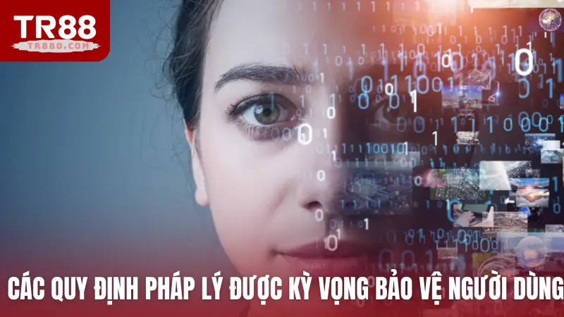 Các quy định pháp lý được kỳ vọng bảo vệ người dùng