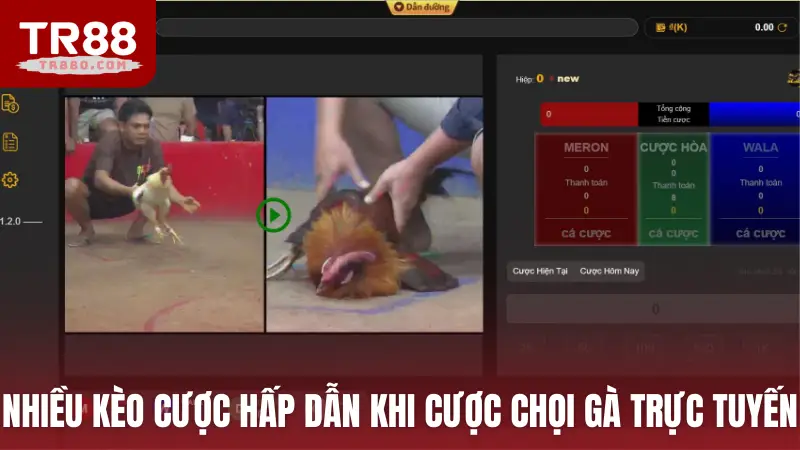 Có nhiều kèo cược hấp dẫn khi cá cược chọi gà trực tuyến